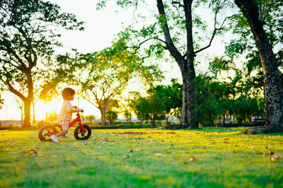 Rear view of man riding bicycle on field