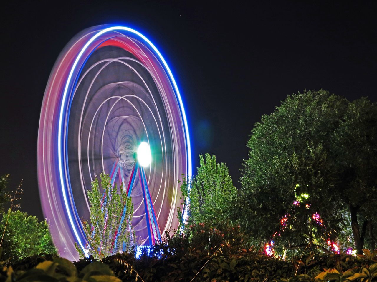 night, illuminated, tree, low angle view, clear sky, arts culture and entertainment, multi colored, built structure, architecture, ferris wheel, building exterior, blue, circle, lighting equipment, outdoors, amusement park, sky, long exposure, amusement park ride, copy space