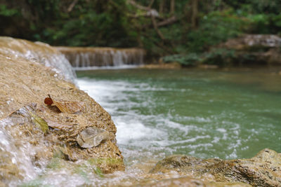 Close-up of rock in river