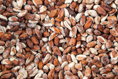 Full frame shot of cocoa seeds. 