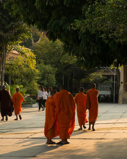 Rear view of monks walking on footpath