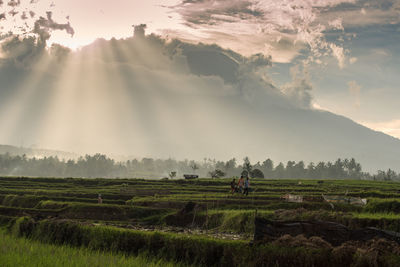 Countryside landscape against the sky