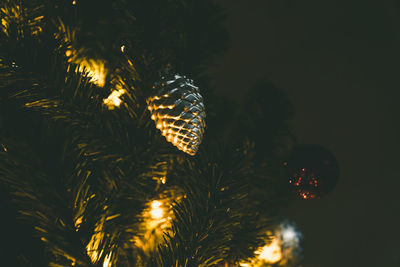 Illuminated christmas tree at night