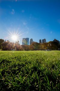 Silhouette of trees on field against sky