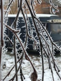 Close-up of snow on rusty metal during winter