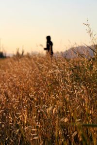 Scenic view of grassy field against sky during sunset