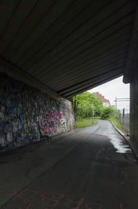 Empty road along trees