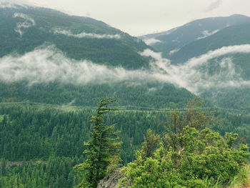 Scenic view of landscape