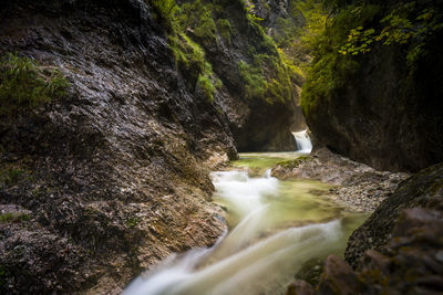 Scenic view of waterfall in forest