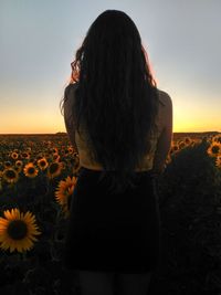 Rear view of woman standing on sunflower field during sunset