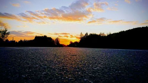 Surface level of silhouette trees against sky during sunset