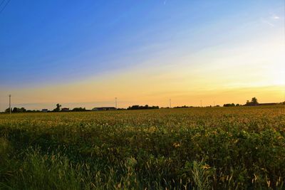 Scenic view of field against sky during sunset