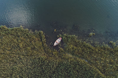 High angle view of boat moored at lakeshore in forest