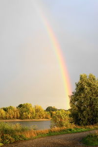 Scenic view of rainbow over trees against sky
