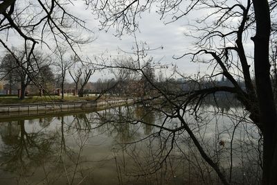 Reflection of bare trees in lake against sky