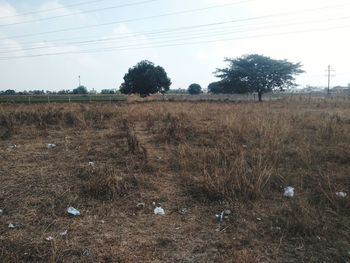 View of field against sky