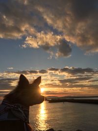 Man hand by sea against sky during sunset