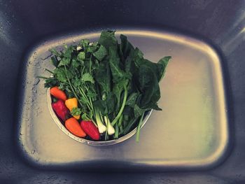 High angle view of vegetables in bowl on kitchen sink