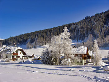 Trees and houses against clear sky during winter