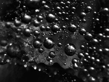 Close-up of water drops on leaf