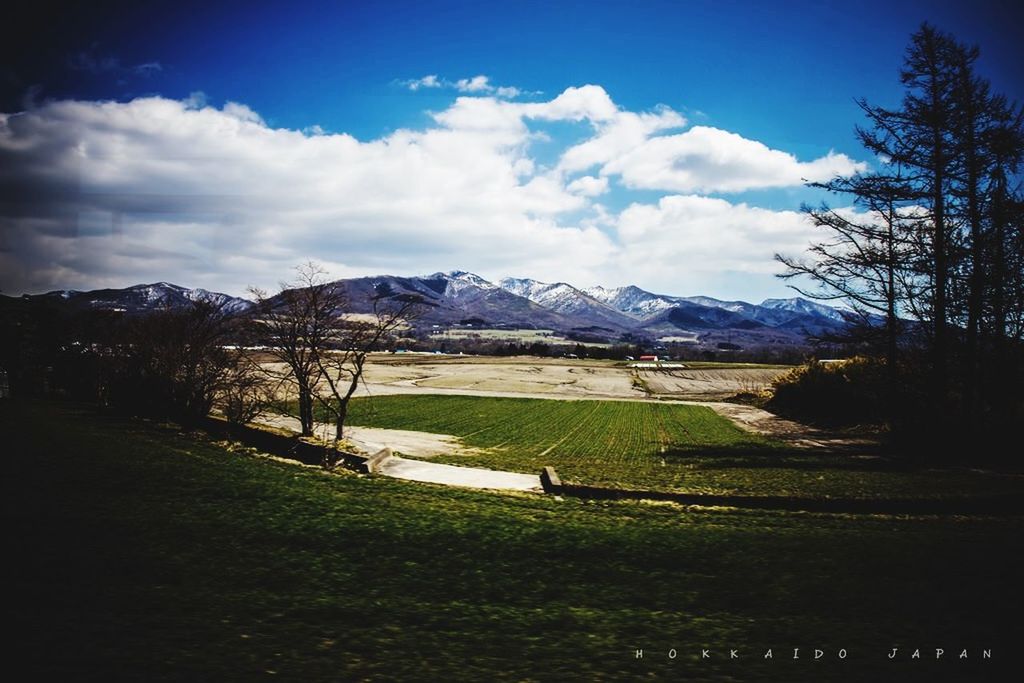 mountain, landscape, sky, tranquil scene, tranquility, grass, mountain range, scenics, beauty in nature, field, nature, cloud - sky, cloud, tree, grassy, non-urban scene, rural scene, countryside, remote, green color