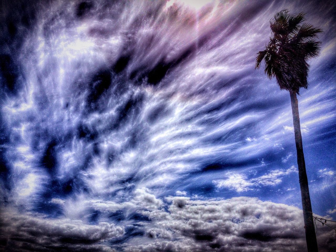 low angle view, sky, cloud - sky, beauty in nature, tree, tranquility, nature, cloudy, scenics, tranquil scene, weather, growth, idyllic, outdoors, no people, cloud, overcast, day, cloudscape, backgrounds