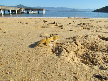 View of beach against sky