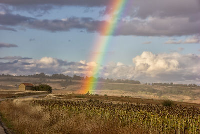 Rainbow over landscape against sky