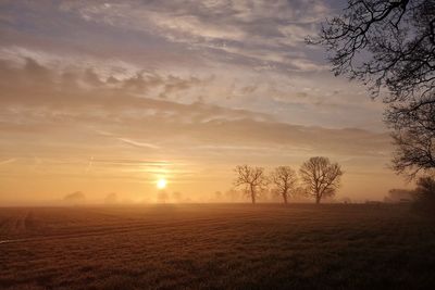 Scenic view of field against sky during sunset