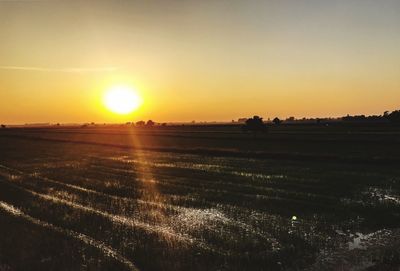 Scenic view of agricultural field against sky during sunset