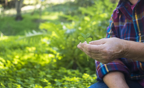 Midsection of man holding plant outdoors