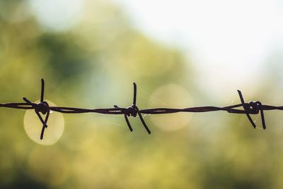 Close-up of barbed wire fence