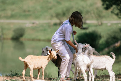 Girl feeds and plays with goats on a farm