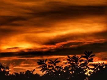 Silhouette trees against dramatic sky during sunset