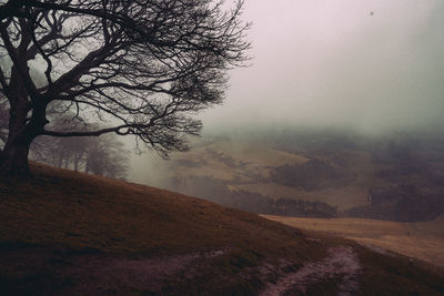 Scenic view of landscape against sky during foggy weather