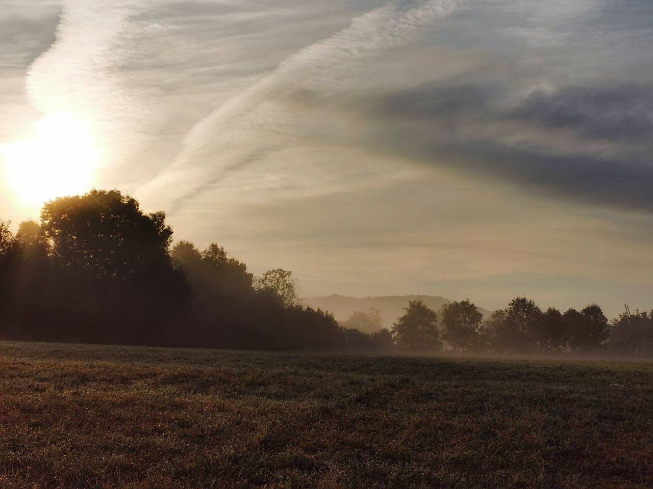 TREES ON FIELD AGAINST SKY AT SUNSET