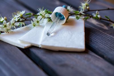 Close-up of white flower on table