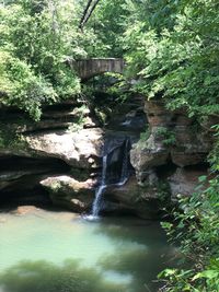 Scenic view of waterfall in forest