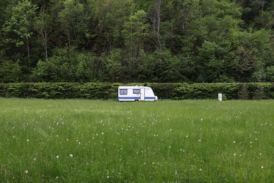 Trees on field