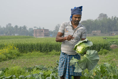 Farmer harvesting vegetable at farm 