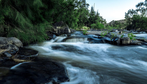 Scenic view of waterfall in forest against sky