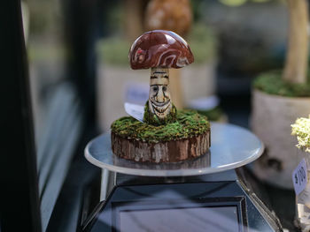 Close-up of potted plant on table