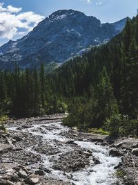 Scenic view of waterfall in forest against sky