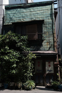 Ivy growing on house