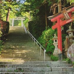 Steps leading to staircase