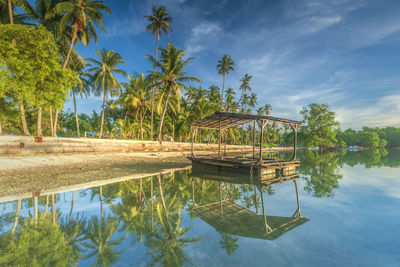 Reflection of palm trees in swimming pool against sky