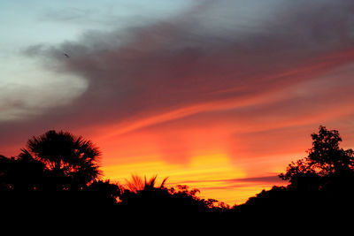 Low angle view of silhouette trees against orange sky