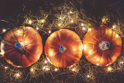 Close-up of christmas decorations