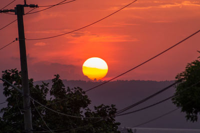 Silhouette trees against orange sky during sunset