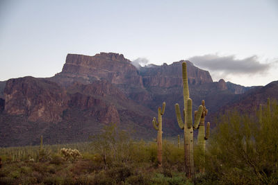 View of mountain range